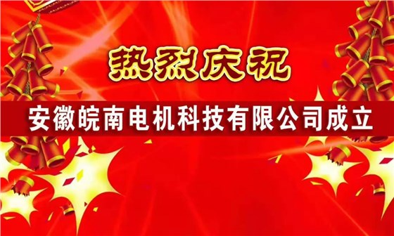皖南电机科技公司 皖南电机科技公司