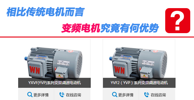 变频电机 变频电机